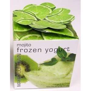  Make Your Own Frozen Yogurt Mojito Mix: Kitchen & Dining