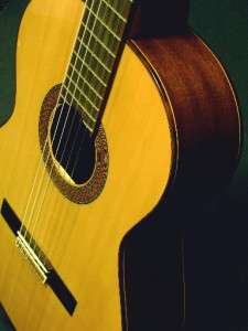 Alhambra Iberia Spanish Made Classical Nylon Acoustic Guitar w 