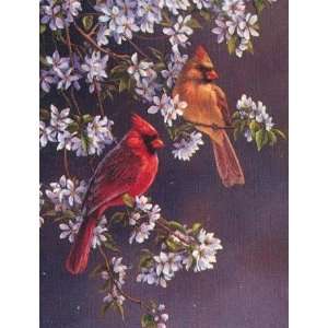  Rosemary Millette   Springtime   Cardinals