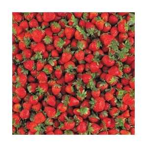  Hot Off The Press Food Papers 12X12 Strawberries HTP F12 