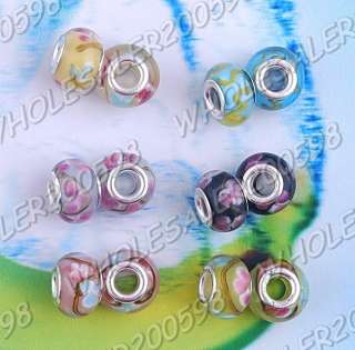 740PCS 148styles Lampwork Glass Spacer Beads 5MM Hole  