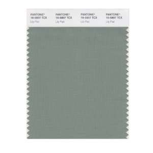   PANTONE SMART 16 5807X Color Swatch Card, Lily Pad: Home Improvement