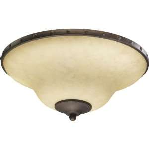 Quorum 1049 144 Decorative Liberty Ceiling Bowl Kit, Toasted Sienna 
