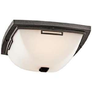  Leeds Collection 14 Wide Outdoor Ceiling Light: Home 