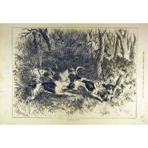  Rolled Over Fox Hounds Kill Hunt Hunting Old Print