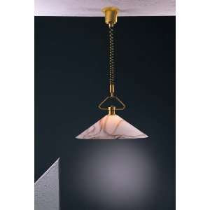   BROWN Polished Brass Pull Down Transitional Single Light Down Lighting