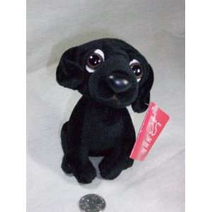 Russ Pound Pets   black dog with large eyes: Toys & Games