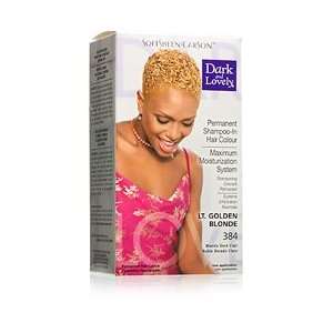  Dark & Lovely Hair Color #384 Light Golden Blonde Kit 