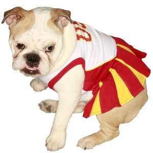  NCAA USC Trojans White Pet Cheer Dress