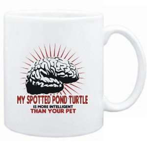  Mug White  My Spotted Pond Turtle is more intelligent 