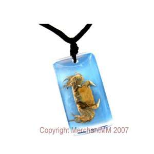  REAL INSECT SPECIMEN TAXIDERMY TEACHING AIDE   CRAB 