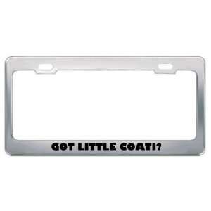 Got Little Coati? Animals Pets Metal License Plate Frame Holder Border 