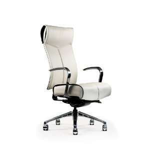  NV(TM) High Back Lumbar Chair