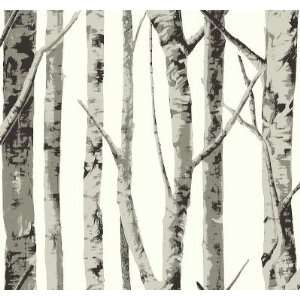 Birch Trees   grey trees on a white background 