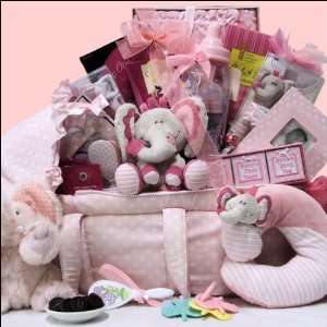 Best Wishes ~ Girl Baby Gift Basket