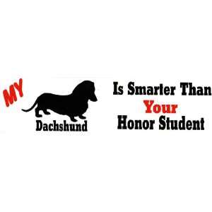    My Daschund is smarter than your honor student 