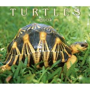 Turtles 2004 (9781552971628) Firefly Books Books