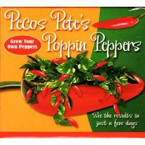    Pecos Petes Poppin Peppers Growing Kit Patio, Lawn & Garden