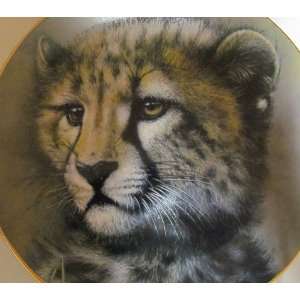  Cheetah Cub; Princeton Gallery: Everything Else