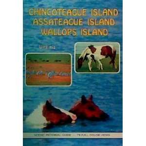 com Chincoteague Island, Assateague Island, Wallops Island Virginia 