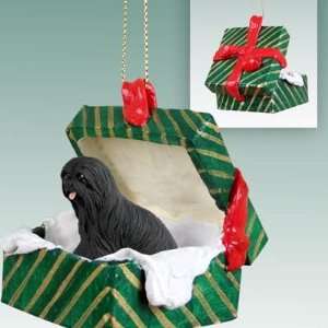    Lhasa Apso Green Gift Box Dog Ornament   Black: Home & Kitchen