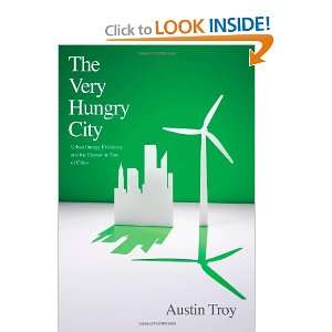  The Very Hungry City Urban Energy Efficiency and the Economic 