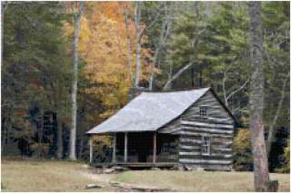Cabin in the Woods Counted Cross Stitch Pattern Chart  