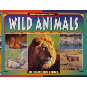  Wild Animals of Southern Africa (Indaba Mini Curio 