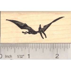  Pterodon, Dinosaur Rubber Stamp (Pterosaur) Arts, Crafts 