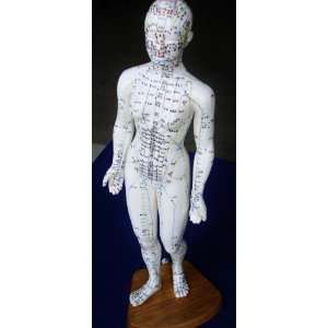  Model Anatomy Professional Medical Acupuncture Female 48cm 