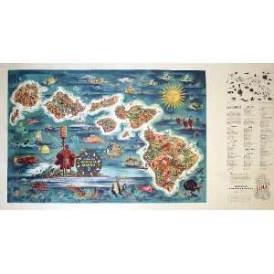 The Dole Map of the Hawaiian Islands Mapmaker Teher Published 1950 