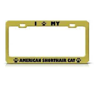 American Shorthair Cat Gold Metal license plate frame Tag Holder