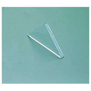 American Educational Products Right Angle Prism; 10 x 100mm:  