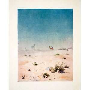  1906 Color Print Mirage Egypt Desert Camel Saharan Barren 