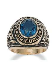 PalmBeach Jewelry Mens Air Force Ring