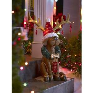  Holiday Living Christmas 26 In. Fiber Optic Reindeer: Home 