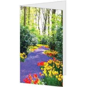  Blank Friendship Forest Beautiful Quality Greeting Card 
