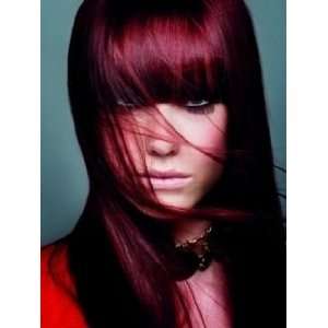   Color 33  Burgandy Straight Human Remy Tape Human Extensions: Beauty
