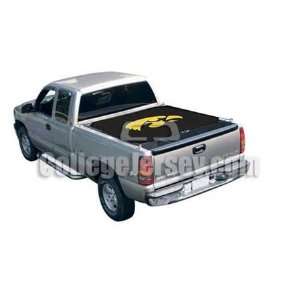 Iowa hawkeyes Pickup Truck Bed Banner Memorabilia.:  Sports 
