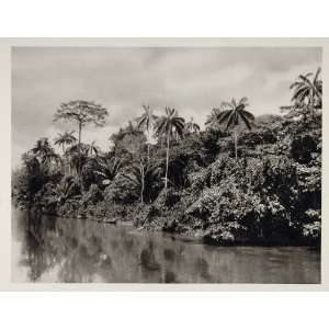  1931 Rio Branco White River  Brazil Photogravure 