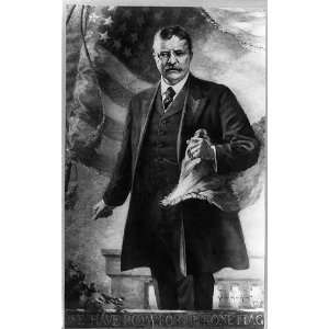  We have room for,one flag,American,President Theodore Roosevelt 