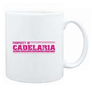 New  Property Of Cadelaria Retro  Mug Name
