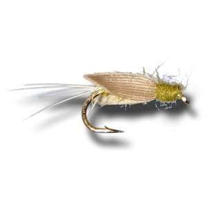  No Hackle   Olive Fly Fishing Fly