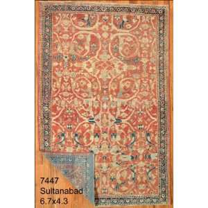  4x6 Hand Knotted Sultanabad Persian Rug   43x67