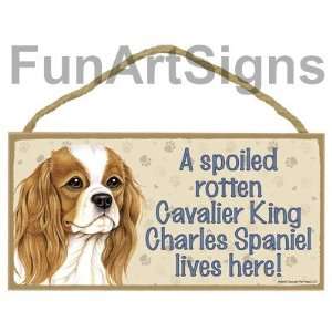  Lot of 12 Cavalier King Charles Spaniel   A Spoiled Rotten Cavalier 