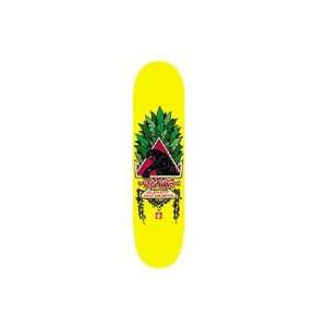  Element Natas Small Panther Deck (Colors May Vary): Sports 