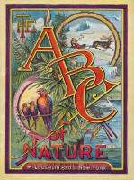 Victorian Alphabet ABC Books on CD vintage images art  