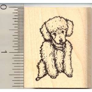  Small Toy Poodle Dog Rubber Stamp: Arts, Crafts & Sewing