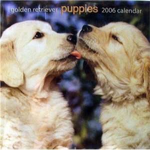    Golden Retriever Puppies 2006 Wall Calendar: Office Products