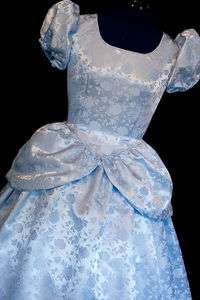 Cinderella GOWN/Costume FLORAL Satin Brocade ADULT  